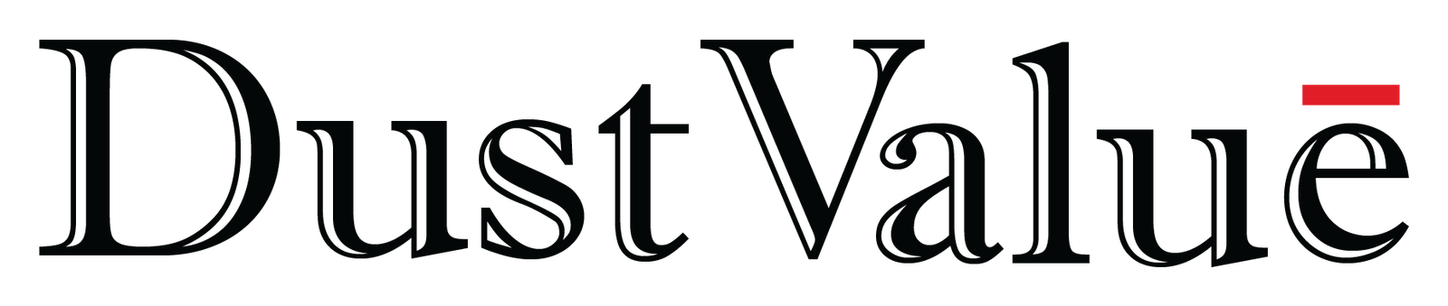 DustValue Logo